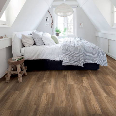 IVC Ultimo (Сlick) IVC Ultimo 22852N фото 7 | FLOORDEALER